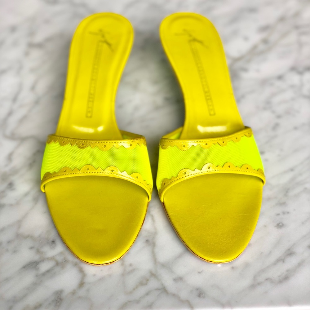 Giuseppe Zanotti slides